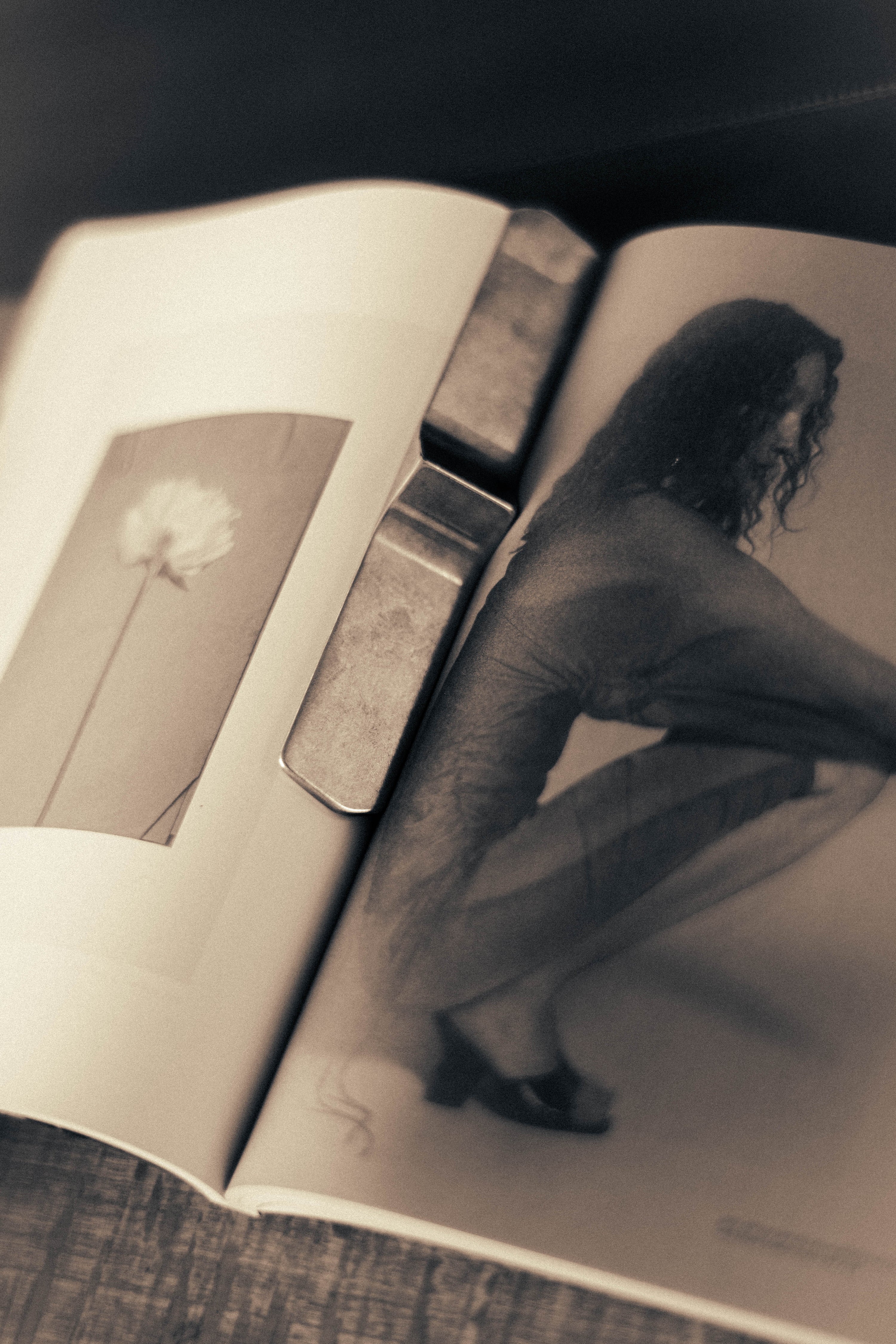 Book Weight - Brass